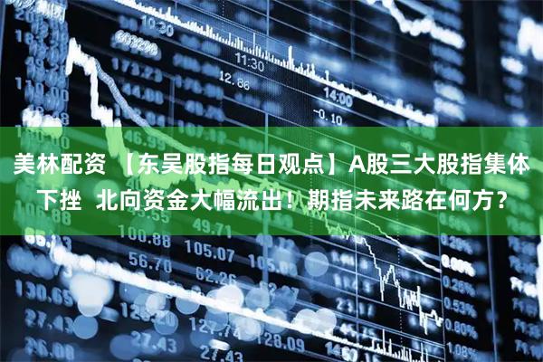 美林配资 【东吴股指每日观点】A股三大股指集体下挫  北向资金大幅流出！期指未来路在何方？