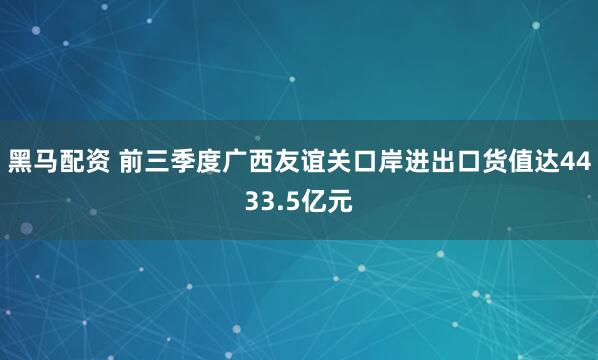 黑马配资 前三季度广西友谊关口岸进出口货值达4433.5亿元