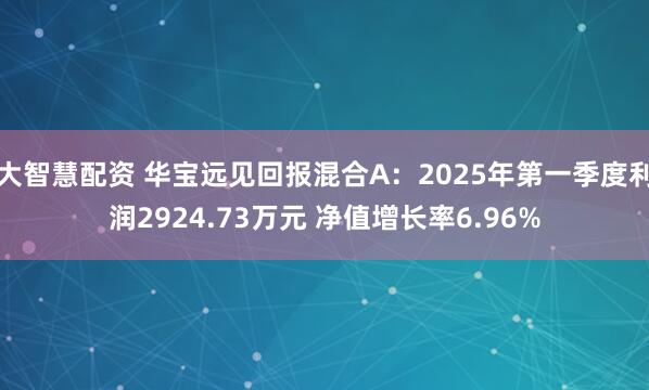 大智慧配资 华宝远见回报混合A：2025年第一季度利润2924.73万元 净值增长率6.96%