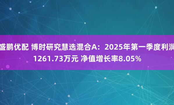 盛鹏优配 博时研究慧选混合A：2025年第一季度利润1261.73万元 净值增长率8.05%