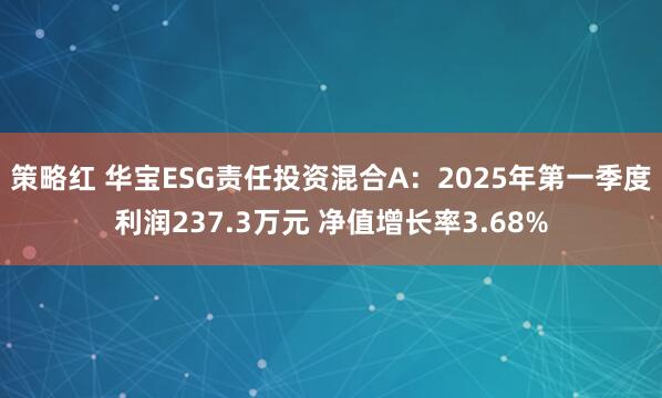 策略红 华宝ESG责任投资混合A：2025年第一季度利润237.3万元 净值增长率3.68%